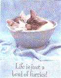Life Is Just A Bowl Of Furries!